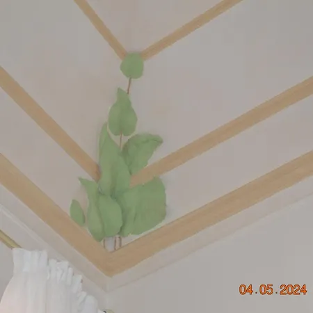Appartement Gli Di Palazzo Umberto I